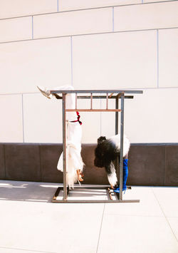 jail mag pic 5