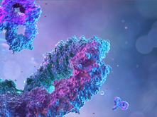 Japan Plasma Fractionation Market Size, Trends & Growth 2026-2034