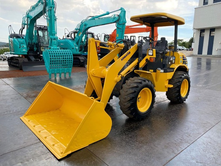 Japan Loaders Market Size, Share & Forecast 2026-2034
