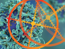 Japan Precision Medicine Market Size, Share & Forecast 2026-2034