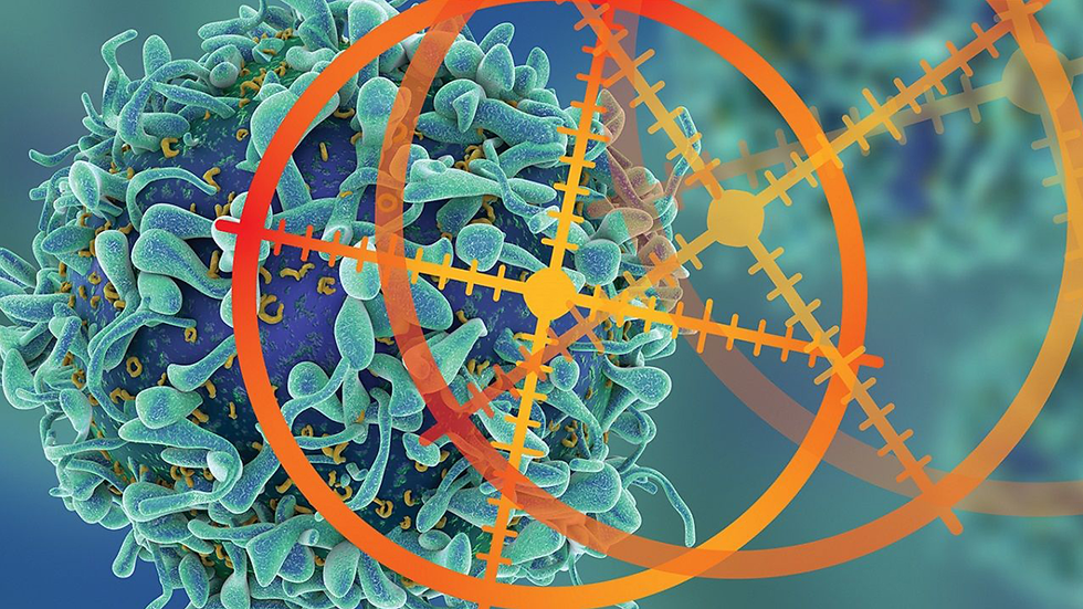 Japan Precision Medicine Market