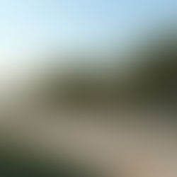 Japan Bicycle Market Size, Growth & Forecast 2026-2034