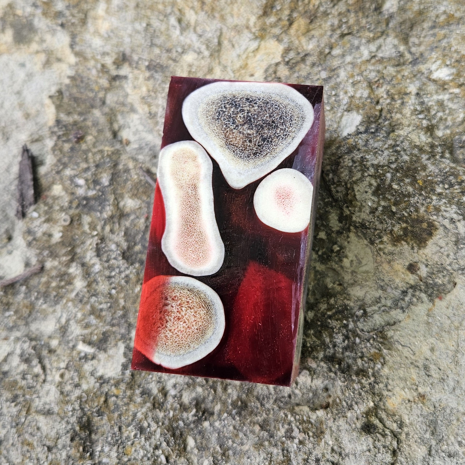 Crimson Relic Antler Hybrid Bottle Stopper Blank