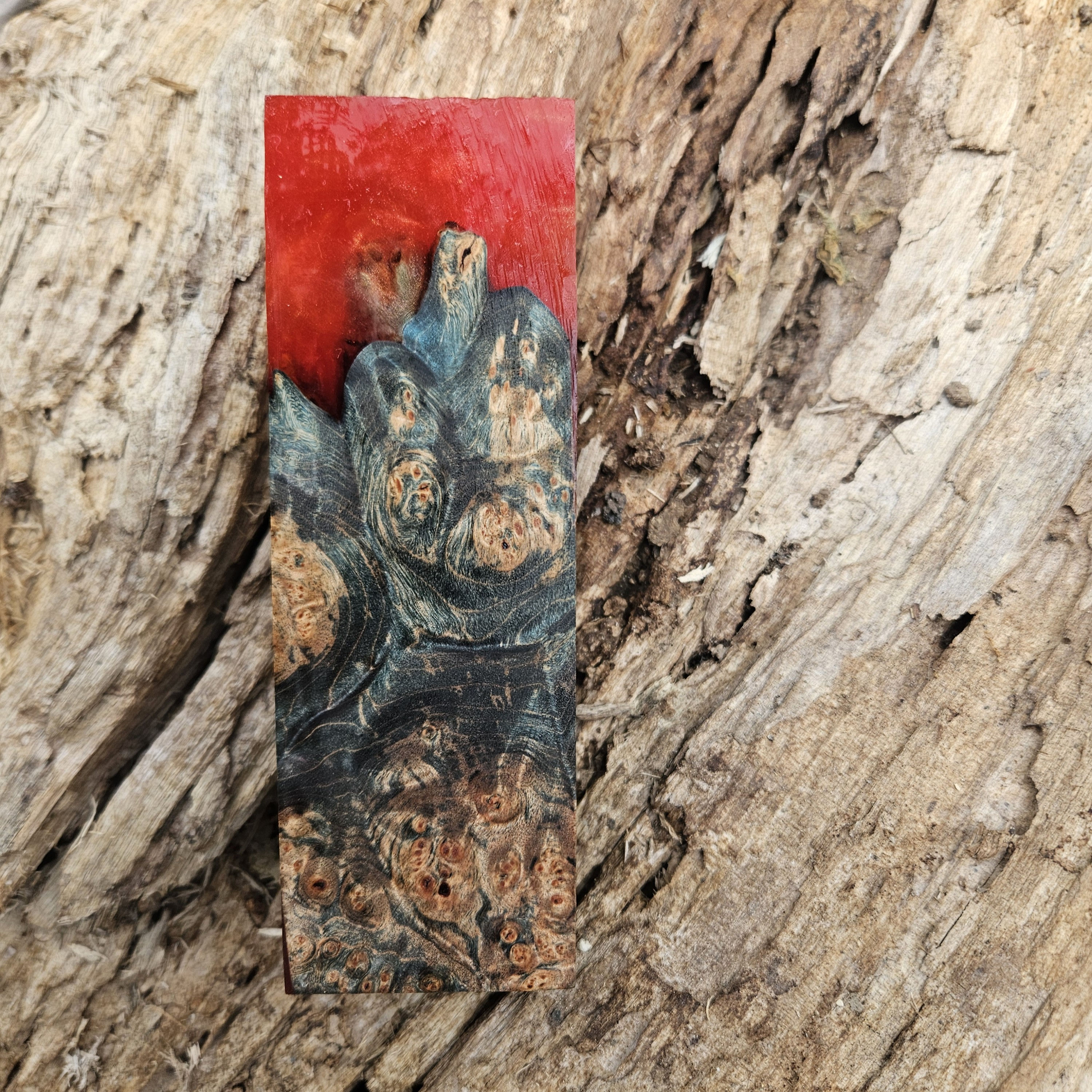 Verdant Flame Relic – Mappa Burl Hybrid Handle Blank
