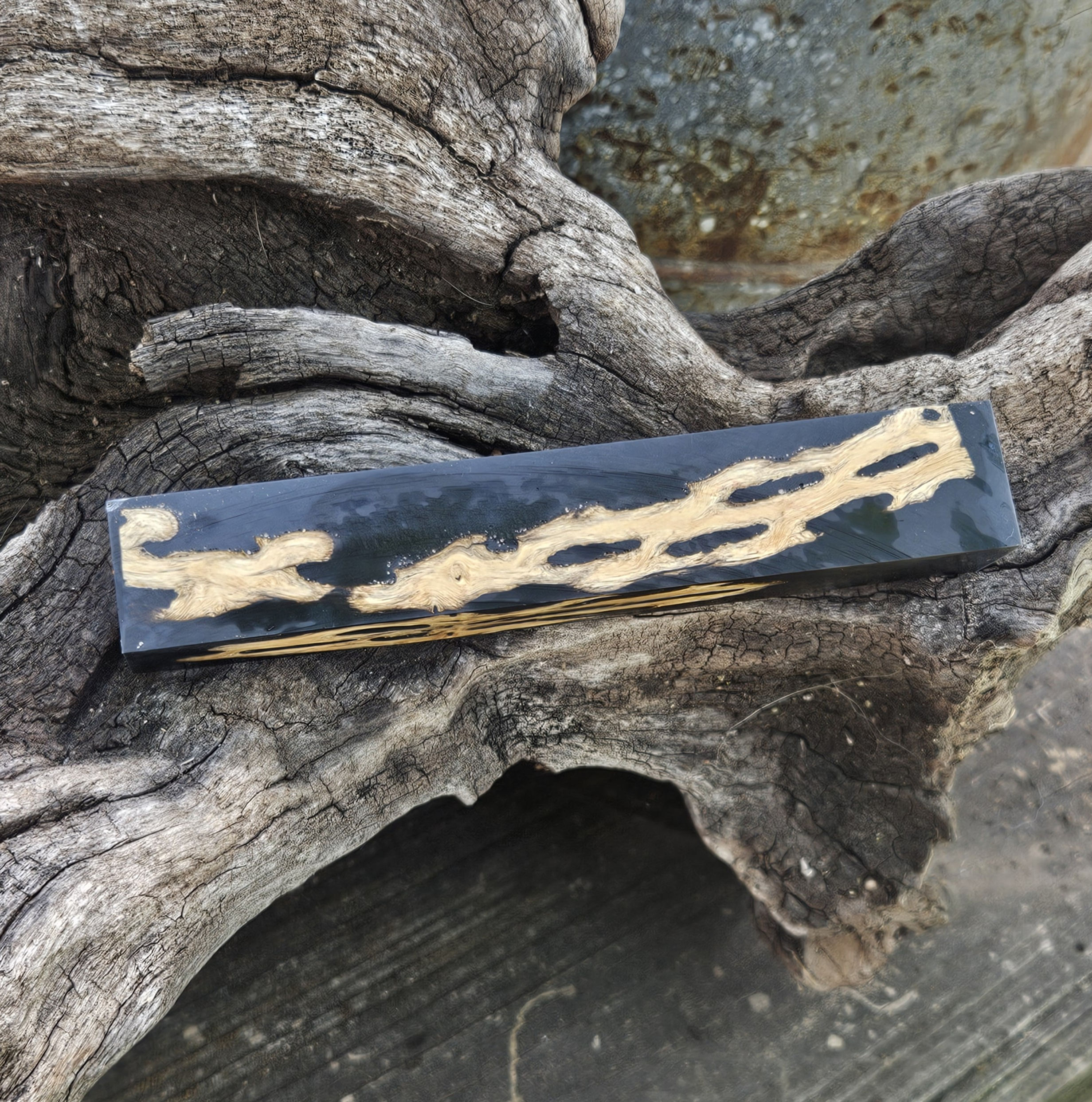 Midnight Relic Cholla Pen Blank