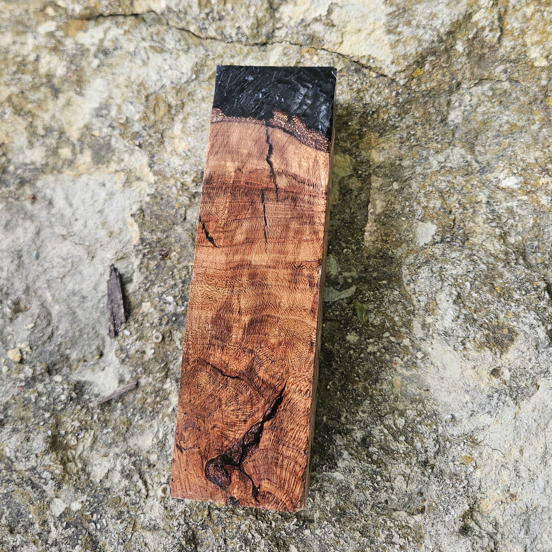 Black Hollow Red Oak Burl Hybrid