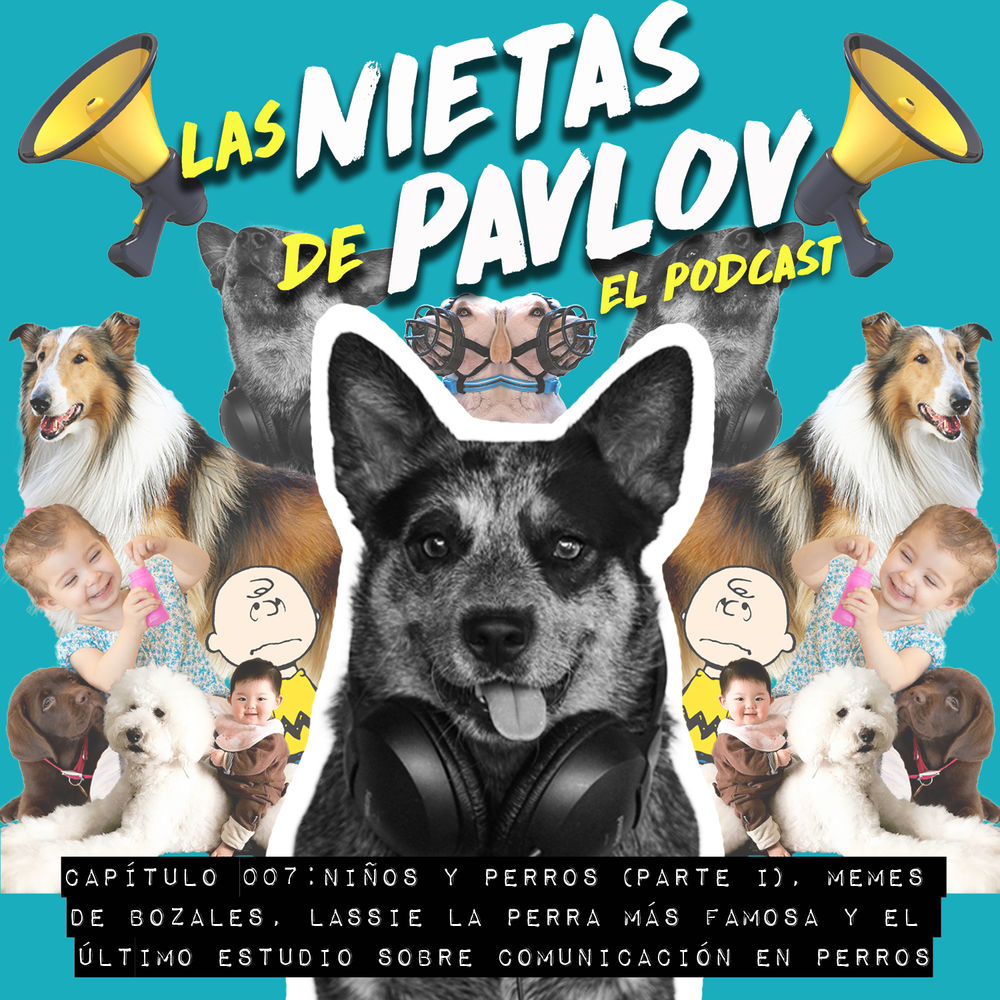 007 Ninos Perros Parte I Lassie Meme De Bozales Y El Ultimo Estudio En Comunicacion Y Perros 007 Ninos Perros Parte I Lassie Meme De Bozales Y El Ultimo Estudio En Comunicacion Y Perros