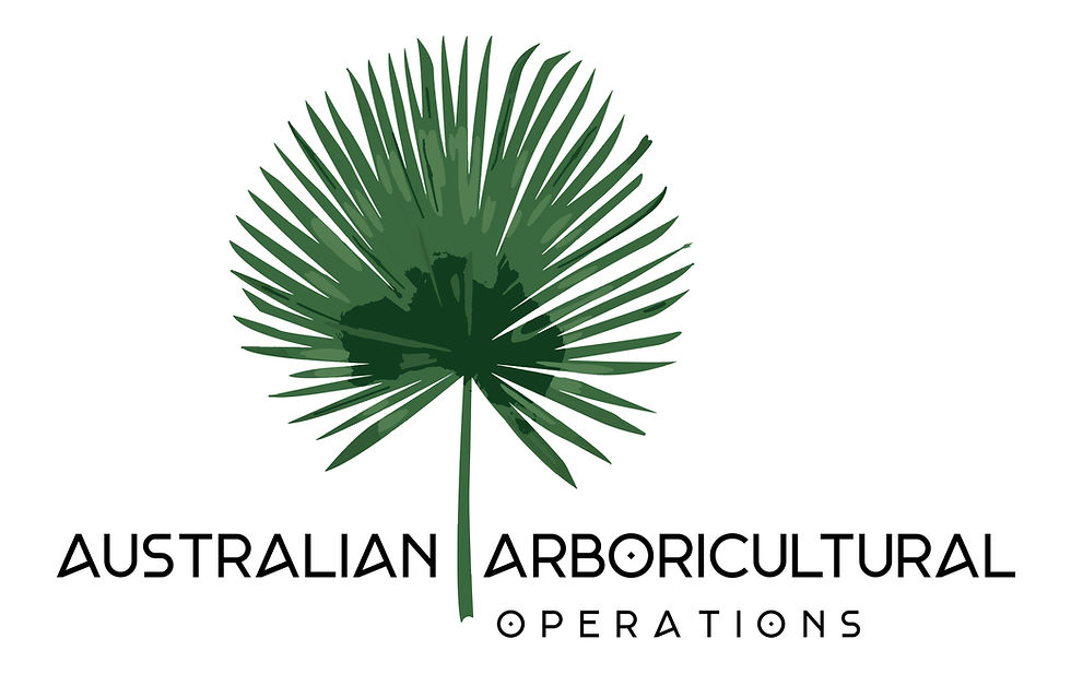 Australian AO jpeg.jpg