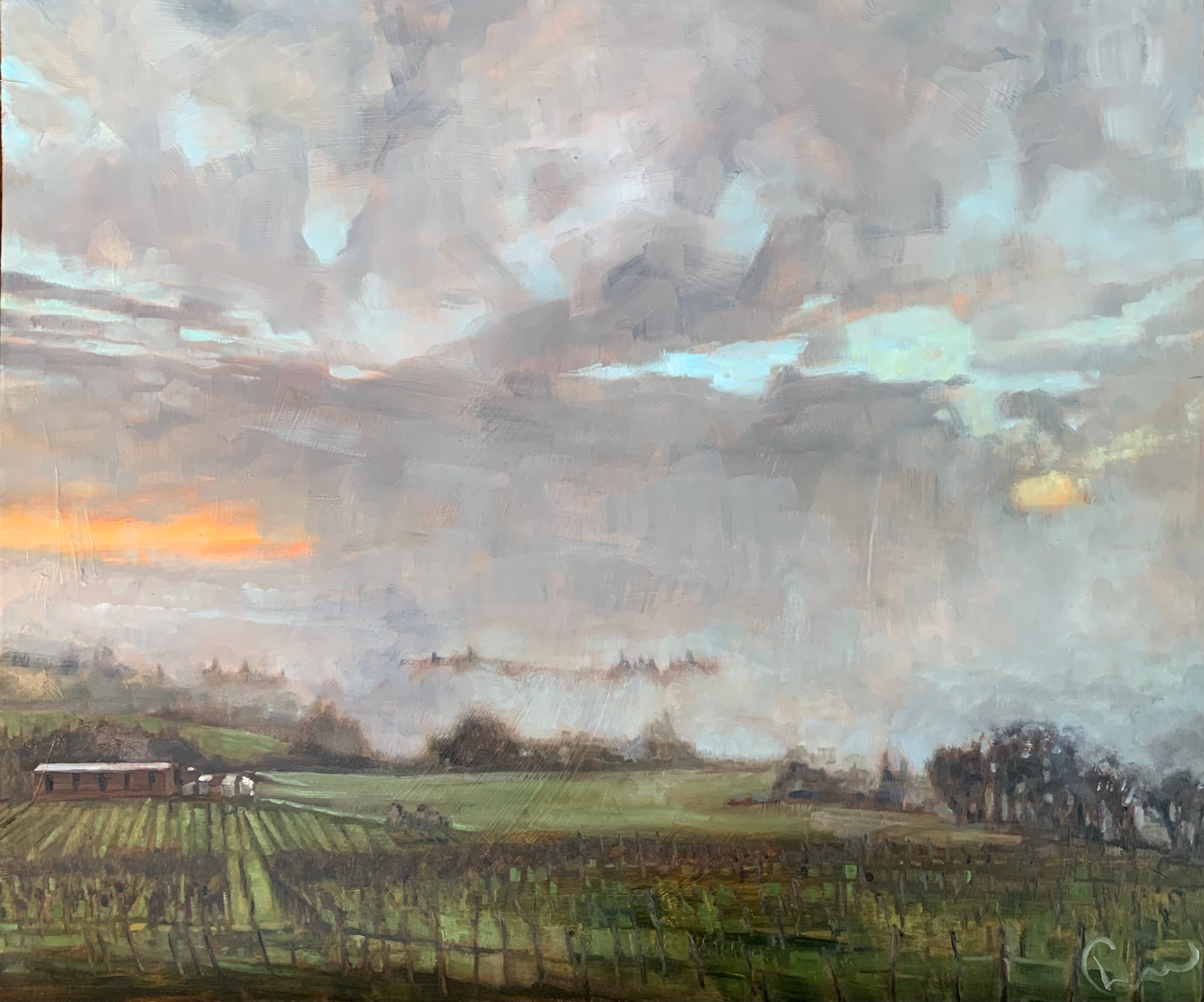Winter Sunset Over Vineyard 20X24”
