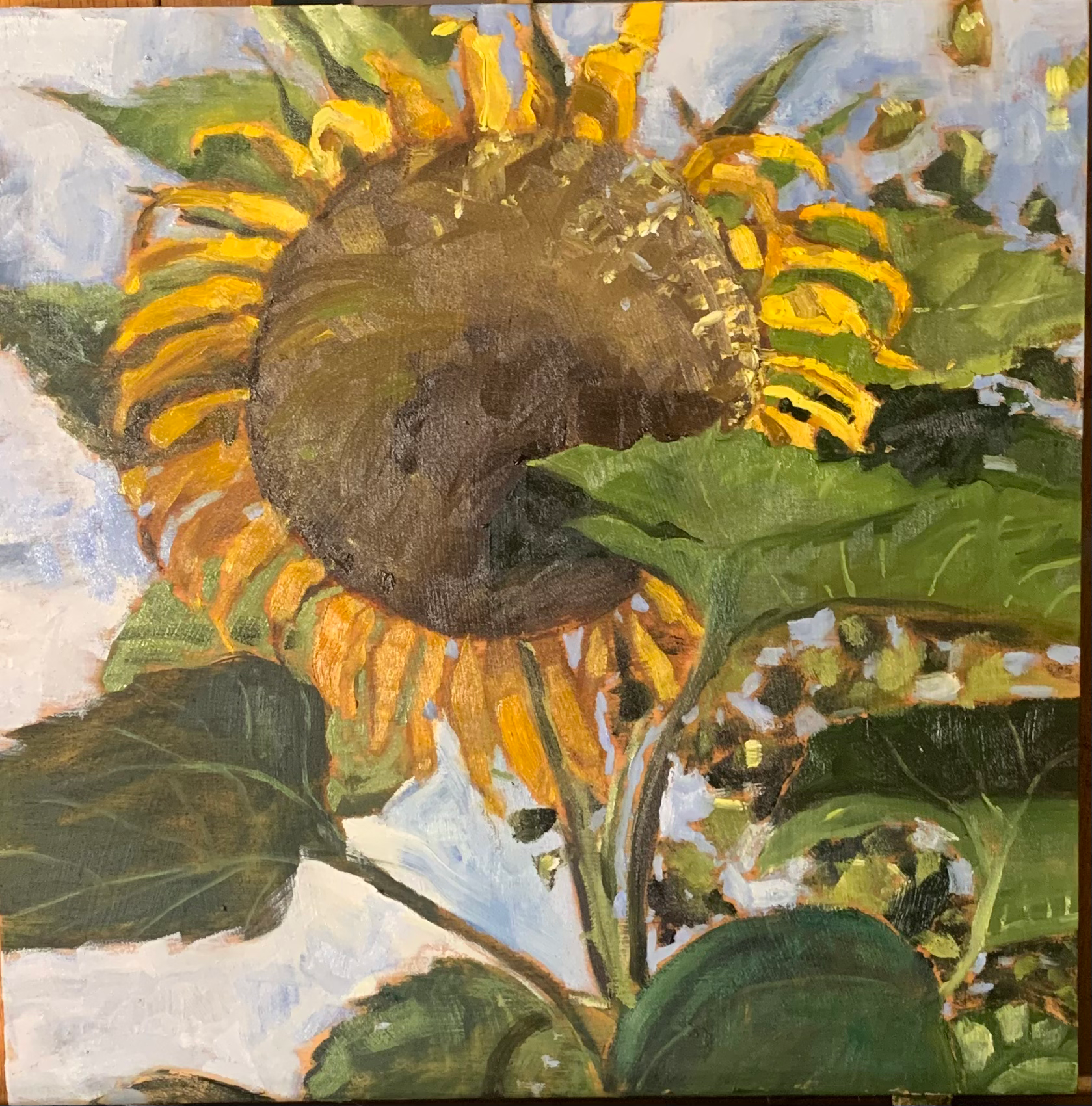 SUNFLOWER FACE 12X12”