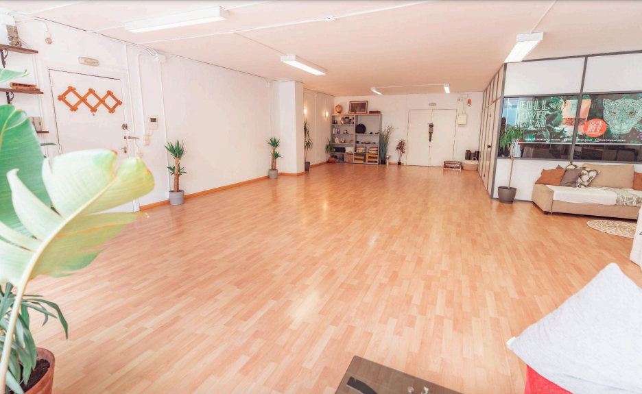 Descripción de la imagen