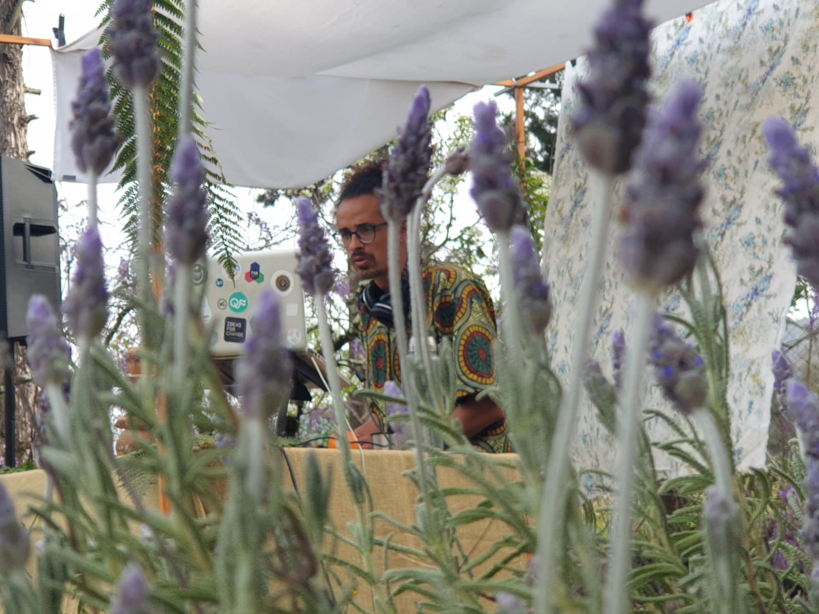 Descripción de la imagen