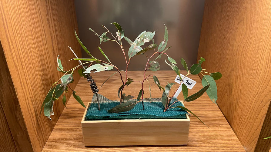 Photos, Vertical Native Plants Wall, 2022 (4).JPG