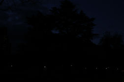 Sunset-Yidan Fang-PHOTOGRAPHY (36).JPG