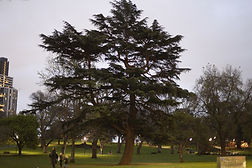 Sunset with surrounding lights-Yidan Fang-PHOTOGRAPHY  (17).JPG