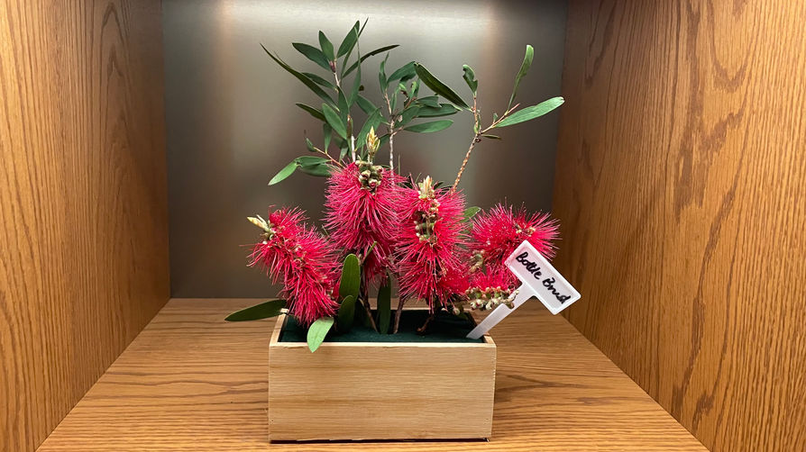 Photo 6; Native Space; Holding Space; Alferd Hospital Innovation and Education Hub; Melbou