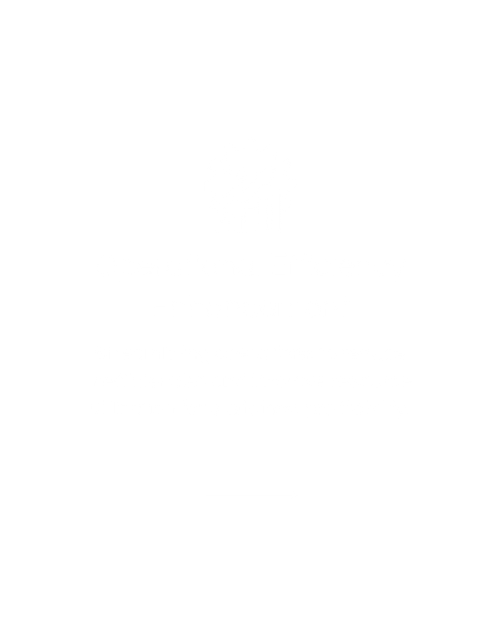 Understanding Your Vision (57).png