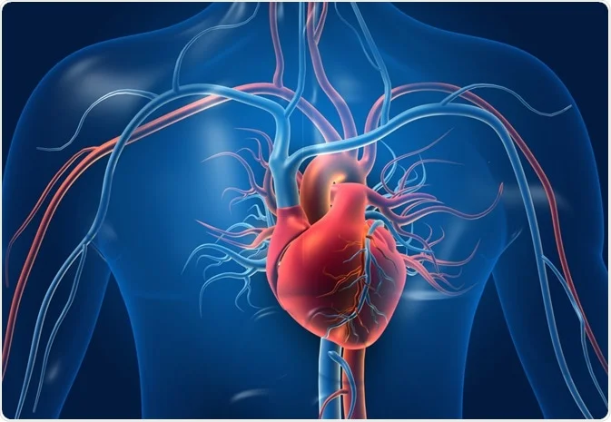 Coronary Artery Disease