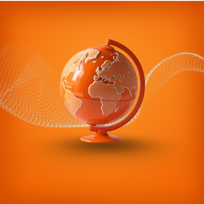 Expert SEO services by Bear Digital Marketing, enhancing search visibility for brands in Hawke's Bay, NZ.