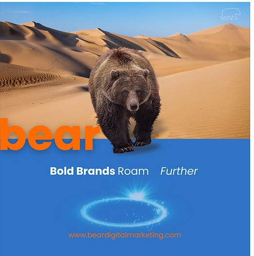 Bear Digital Marketing – New Zealand agency specialising in SEO, Google Ads, and social media marketing.
