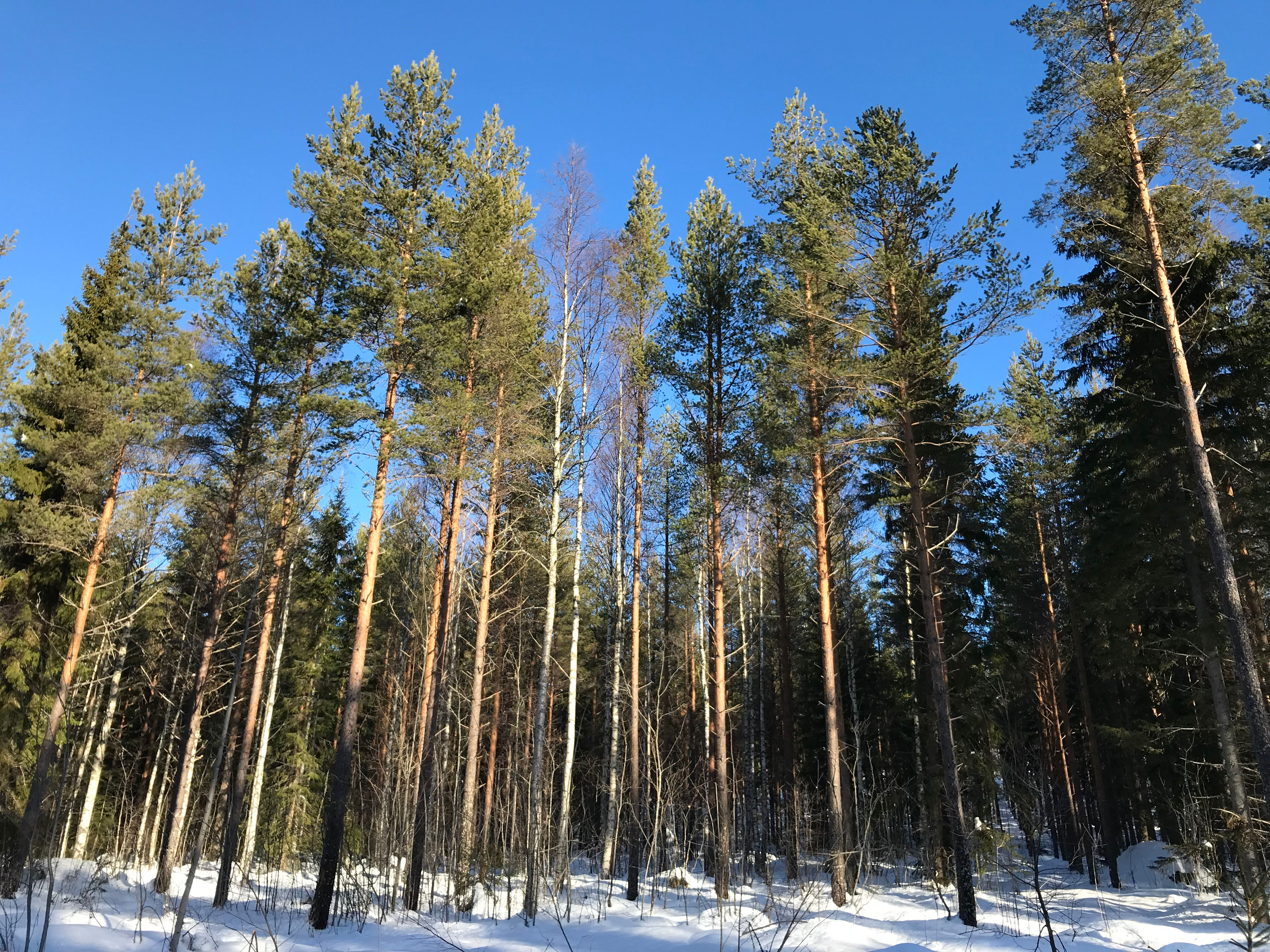 Grounding (laying version) - 13 min