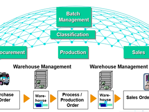 Batch Management & Quality Management in EWM
