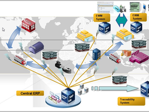 Supply Chain Unit in SAP EWM