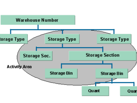 SAP EWM Warehouse Structure Elements