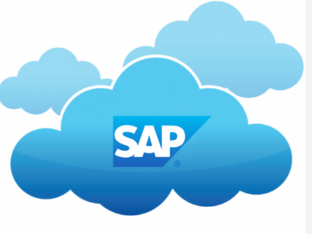SAP EWM for SAP S/4HANA Cloud Private Version