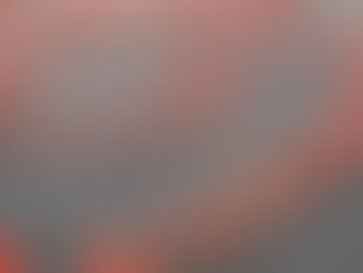 LAM's Bike Buying Guide!