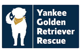 Official Yankee Golden Retriever Rescue Logo