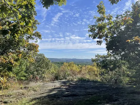 A great picture of the Warren S. Oberg Overlook at Mt Pigsah Mentzer Trail