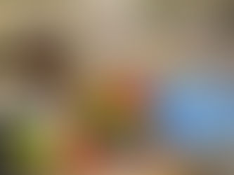 学生からの嬉しいプレゼント