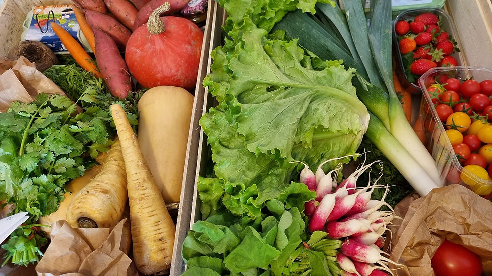 fruits & legumes.jpg