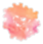 top1_edited.png