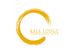 orange logo.png