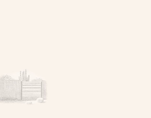 web background fence.jpg