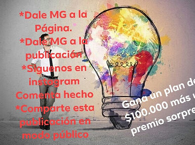 concurso.jpg