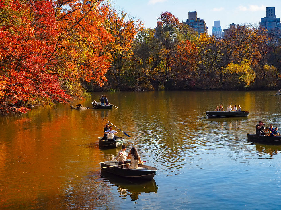 Nyc en Automne