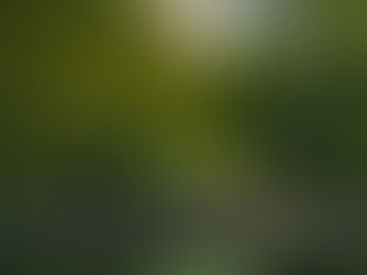 NYC au printemps