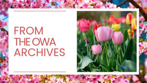 Spring Reflections: Exploring the OWA's Archive  