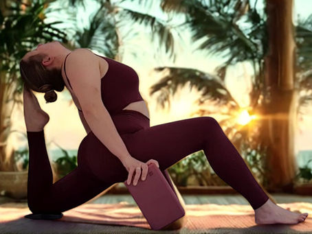 NEWSLETTER FEVRIER 2025 : Nouveautés et Planning du troisième trimestre