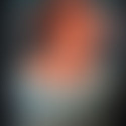 All The Crooked Saints, by Maggie Stiefvater