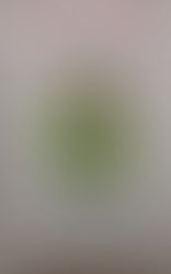 Matched, by Ally Condie