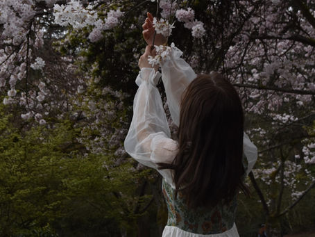 Spring Photography 