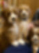 IMG_7951.jpeg