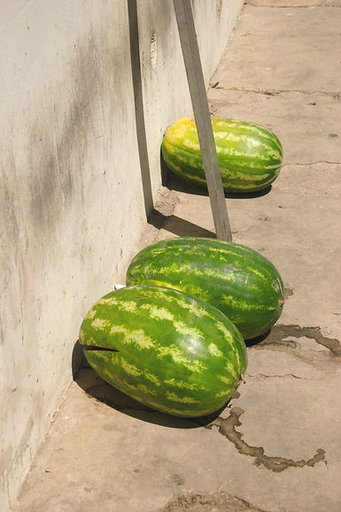 ORIGINS_DocumentaryPhotography_Pachino