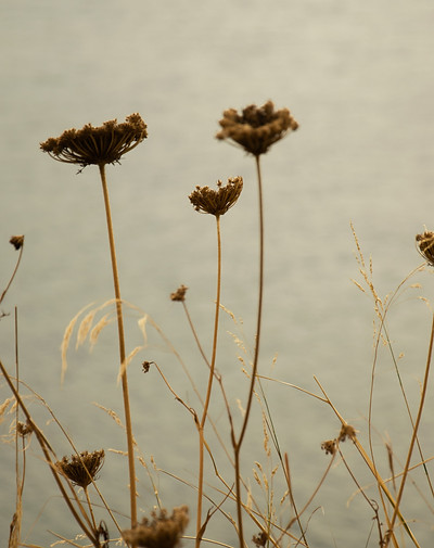 ORIGINS_DocumentaryPhotography_Milazzo
