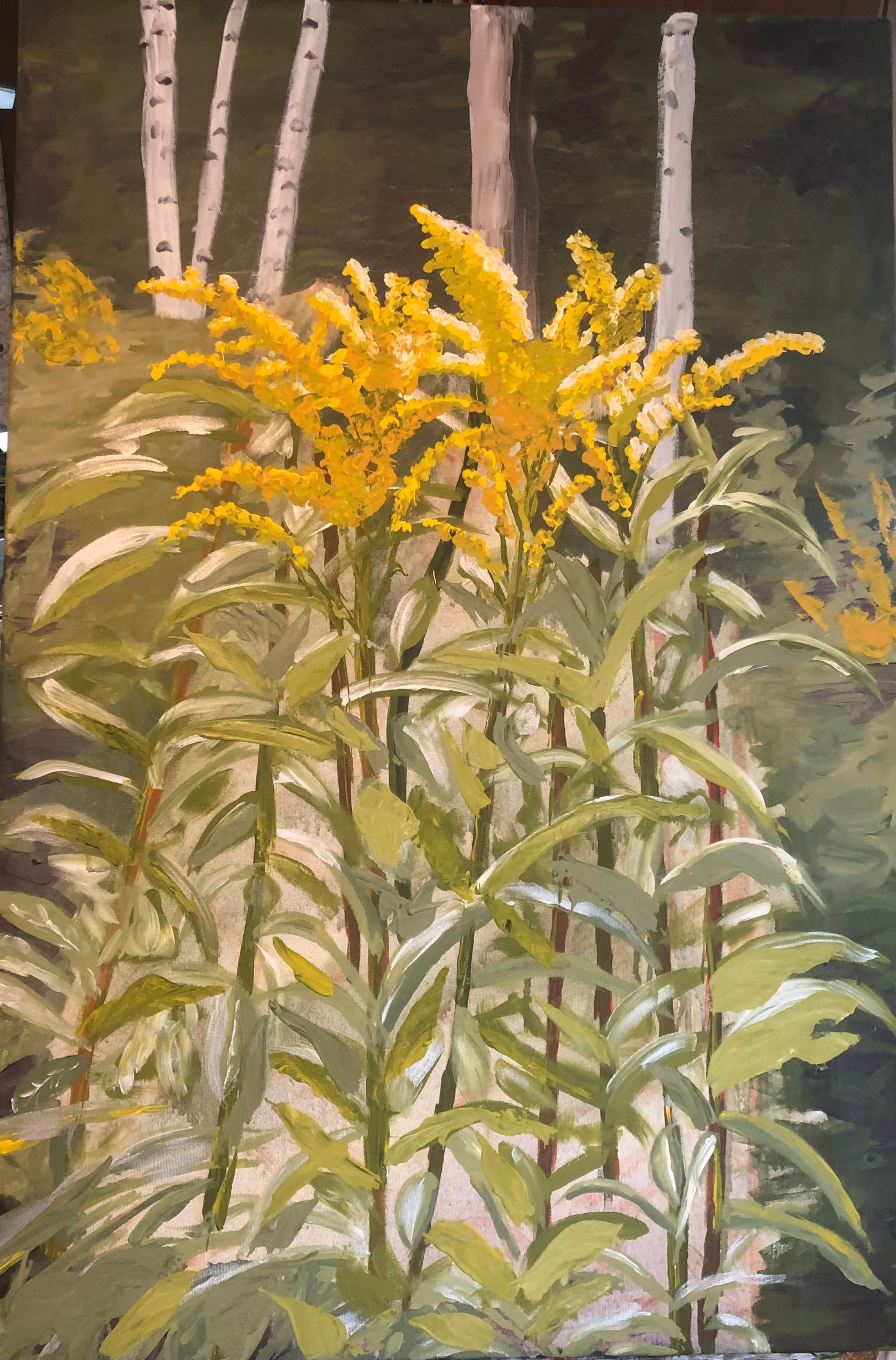 Summer weeds: Solidago