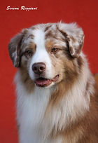 10425015_10206139462868304_5205488178897